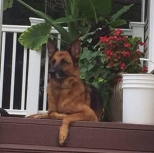 Meet your Posher, Dylan